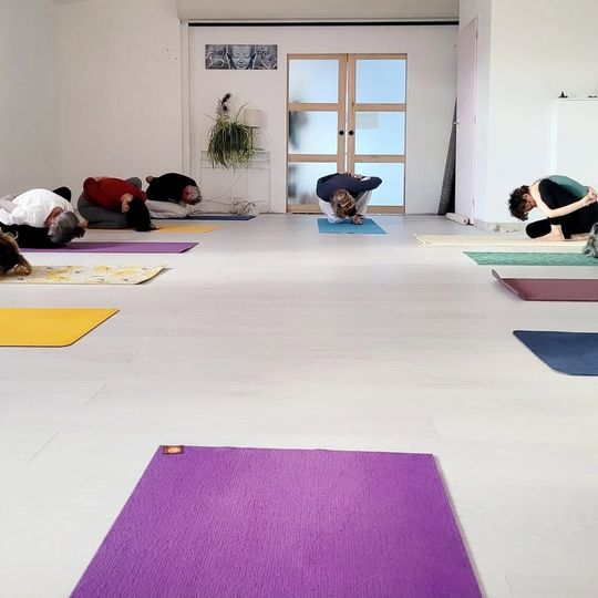 Cours collectif de yoga dans la grande salle lumineuse
